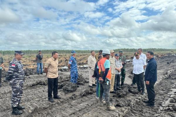 Mentan Proyeksikan Merauke Penuhi Kebutuhan Beras Nasional