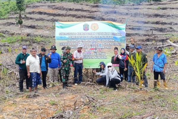 Kementan Genjot Penanaman Padi Gogo di Lahan Sawit Kaltara