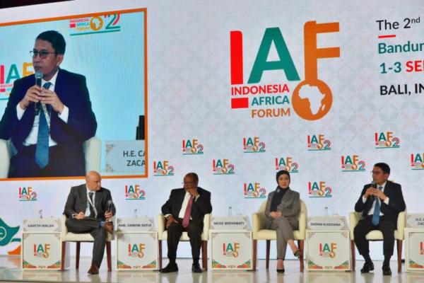 Indonesia Jajaki Kerja Sama Hilirisasi Mineral dengan Afrika