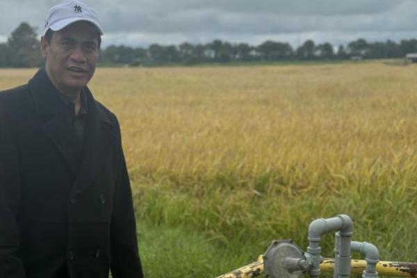  Korporasi Pertanian Padi Indonesia Disebut Sejalan dengan Arkansas Amerika