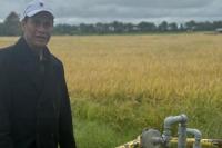  Korporasi Pertanian Padi Indonesia Disebut Sejalan dengan Arkansas Amerika