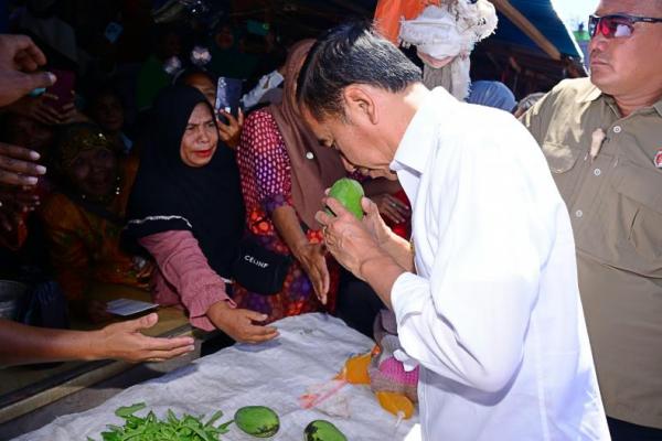 Tinjau Harga Bahan Sembako di Kabupaten Alor, Jokowi: Masih Baik