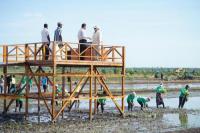 Prabowo Ajak G20 Entaskan Kemiskinan, Mentan Amran Bentuk Brigade Pangan