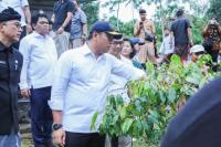 Wamentan: Kopi Indonesia Harus Kuasai Pasar Global