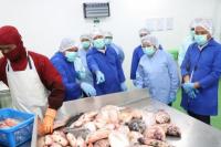 KKP Siapkan Jaminan Mutu Program Revitalisasi Tambak Pantura