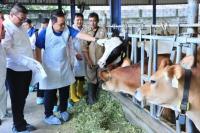 Tangani PMK Ternak, Pemprov Jatim Minta Peternak Lakukan Vaksinasi Mandiri