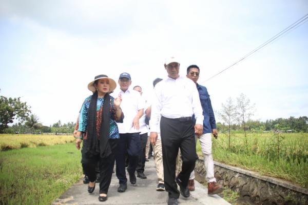 Swasembada Pangan Terancam Gagal Jika Penyerapan Gabah Bermasalah