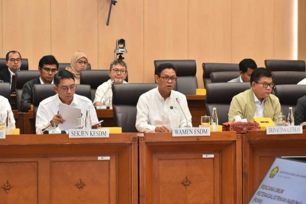Kementerian ESDM Usulkan Konsumsi Listrik dan Bauran Energi ke DPR