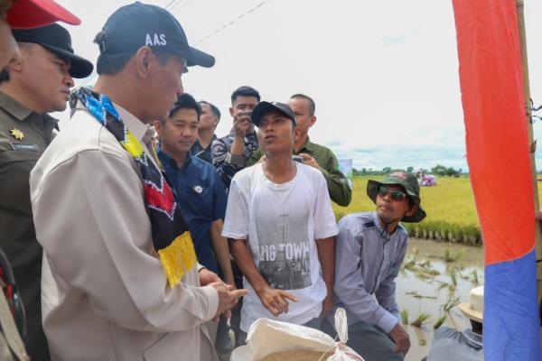 Mentan Kecewa, Bulog Malah Nunggu di Gudang