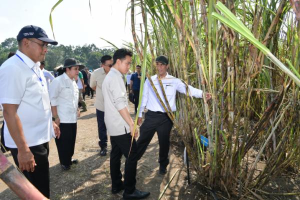 Wapres dan Mentan Target Indonesia Swasembada Gula Konsumsi 2026