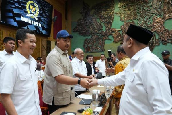 Komisi X Siap Dukung Program Unggulan dan Prioritas Kemenpora