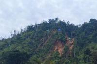 Tertibkan Tambang Ilegal, Negara Kembali Kuasai Ratusan Hektare Lahan