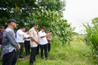 Wakil Menteri Sosial (Wamensos) Agus Jabo Priyono saat meninjau langsung lahan lokasi pembangunan Sekolah Rakyat Permanen bersama Pemerintah Kabupaten Sukoharjo, Sabtu (Foto: Kemensos)