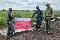 Ilustrasi - 98,8 Hektare Sawit Ilegal di TNBS Dimusnahkan, Gakkum Kemenhut Buru Pemodal (Foto: Kemenhut)