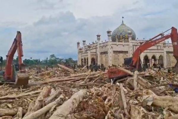 Kemenhut Bilang Pemanfaatan Kayu Hanyutan untuk Huntara Tembus Ribuan Kubik