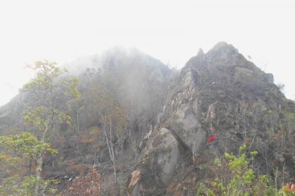 Kemenhut Pastikan Status Gunung Wayang di Bandung Tetap Hutan Lindung