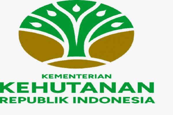 Kemenhut Klarifikasi soal Penggeledahan Kejagung