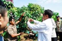 Deputi Bidang Koordinasi Pemberdayaan Masyarakat Desa, Daerah Tertinggal, dan Daerah Tertentu, Abdul Haris (Foto: Humas Kemenko PM)