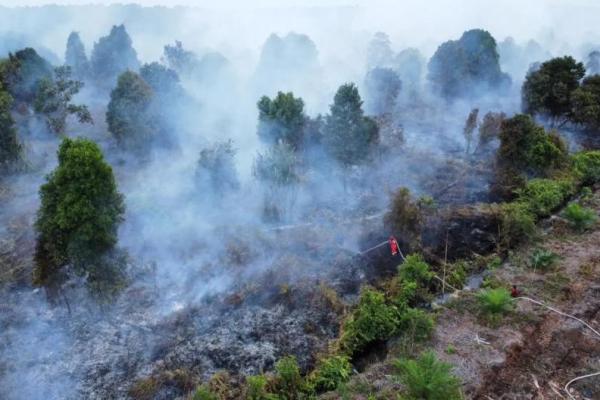 Kemenhut Pastikan Kebakaran di Karhutla Tak Menyebar ke Riau