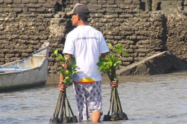 Peringati Hari Mangrove Sedunia, BNI Tegaskan Komitmen Pelestarian Pesisir