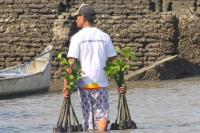 Peringati Hari Mangrove Sedunia, BNI Tegaskan Komitmen Pelestarian Pesisir